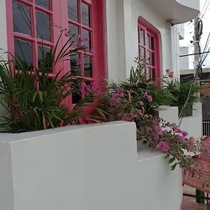 Miami Pensión